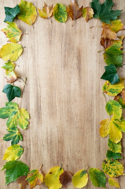 Thanksgiving background with autumn leaves