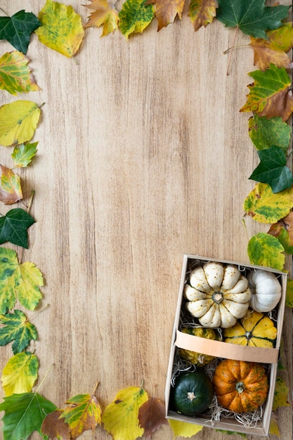 Thanksgiving background with pumpkins in a basket and leaves