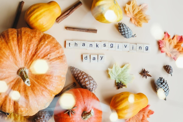 Thanksgiving Day. Composition of pumpkins, squash, pine cones. Festive autumn card.