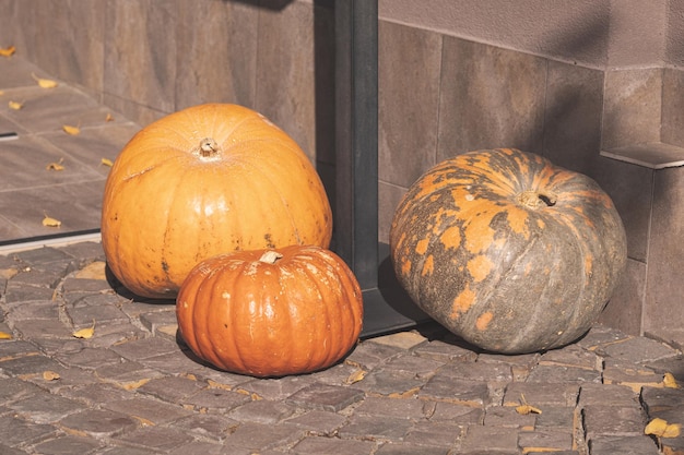 Thanksgiving decorated front door with pumpkin outdoors