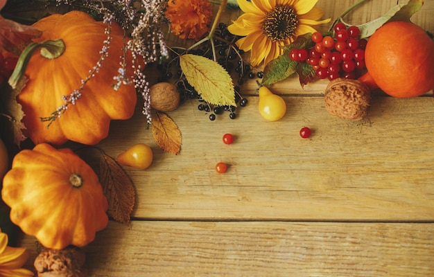 Thanksgiving flat lay Stylish pumpkins autumn flowers berries and nuts on rustic wooden table