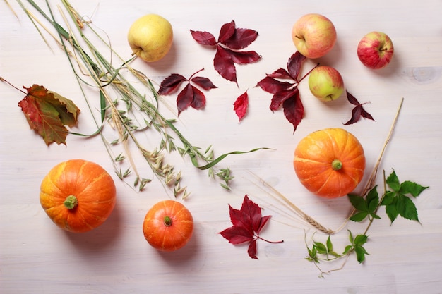 Thanksgiving food with pumpkins, apples, wheat, oats and autumn leaves 