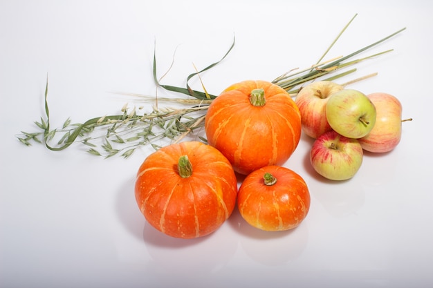 Thanksgiving food with pumpkins, apples, wheat, oats and autumn leaves