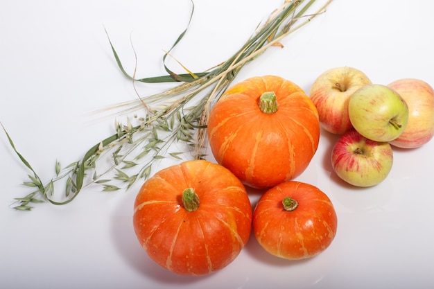 Thanksgiving food with pumpkins, apples, wheat, oats and autumn leaves