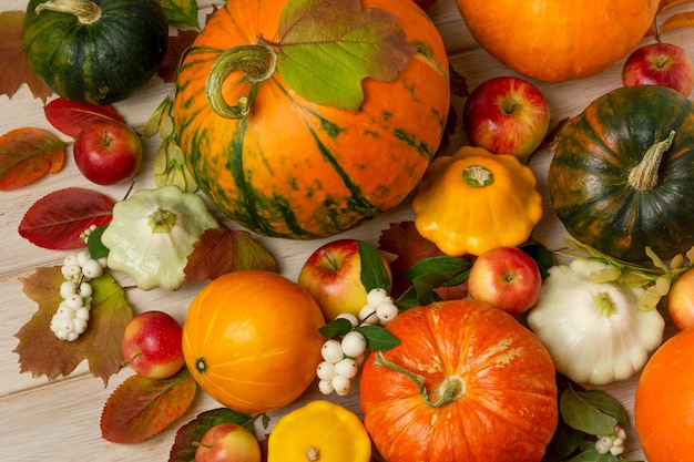 Thanksgiving green orange striped pumpkins snowberry leaves yellow and white squash