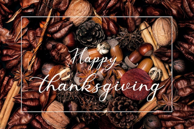 Thanksgiving greeting card with dried nuts cinnamon sticks and dry leaves in a close up view