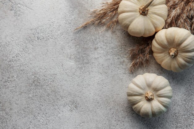 Thanksgiving or harvest flatlay with pumpkins on grey concrete background