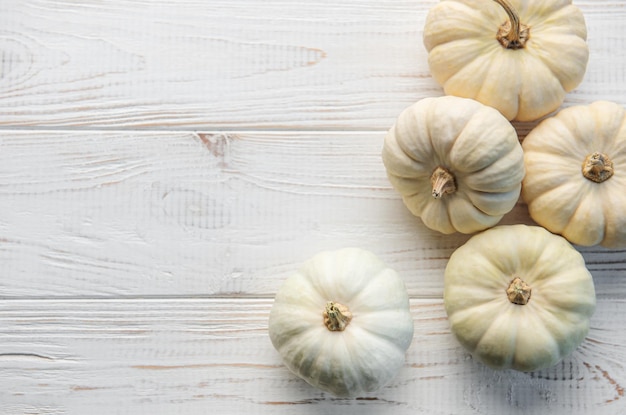 Thanksgiving or harvest flatlay with pumpkins