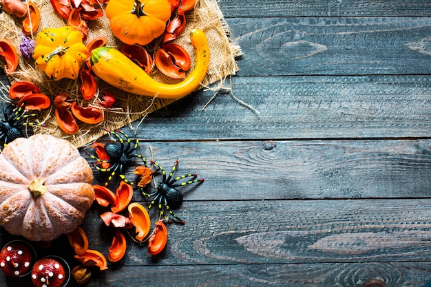 Thanksgiving pumpkins, on wooden background