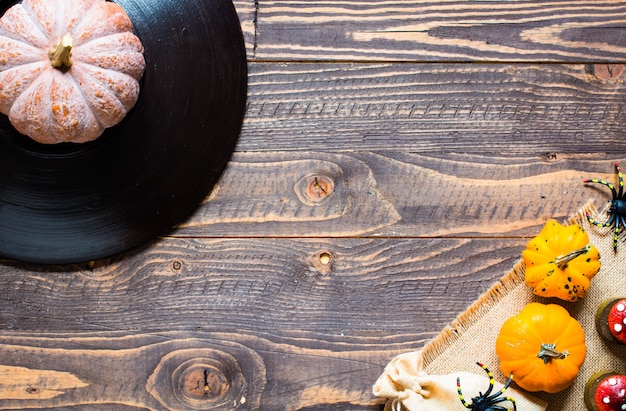 Thanksgiving pumpkins on wooden background