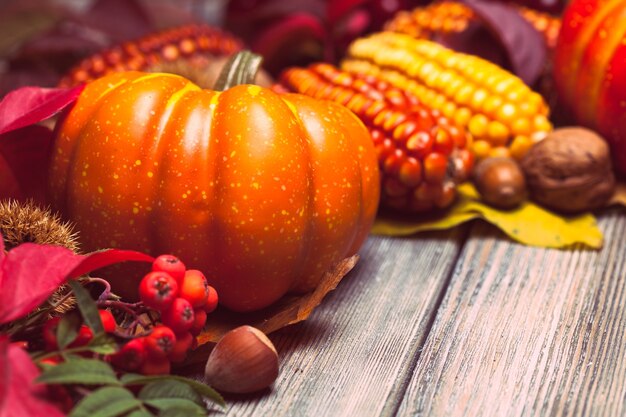 Thanksgiving still life - berries, nuts, corn and pumpkins on a table