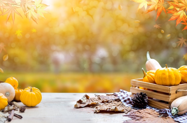 Thanksgiving with fruit and vegetable on wood in autumn and Fall harvest cornucopia season