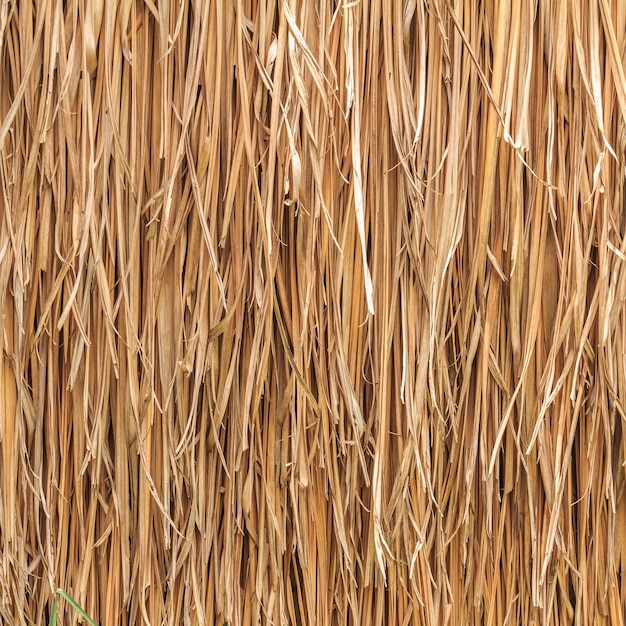 thatch roof