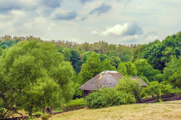 Photo thatch ukrainian hut on the edge of the forest