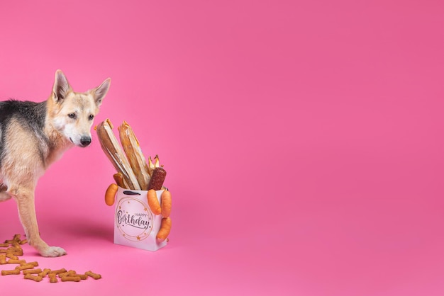 The theme of the dog's birthday Gift bag bones buns sausages sausage on pink background