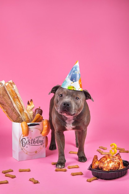 The theme of the dog's birthday Gift bag bones buns sausages sausage on pink background