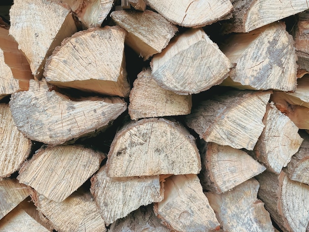 The theme of forest degradation and deforestation Photo of tree firewood