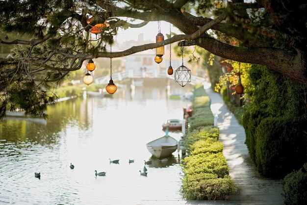 There are boats and ducks on the beautiful river