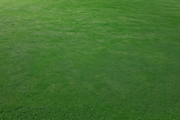 Photo there is a man that is standing in the grass with a frisbee