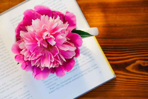 There is a mug with a peony on the book summer mood lifestyle