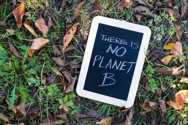 There is no planet B Blackboard on grass with message A more sustainable environment