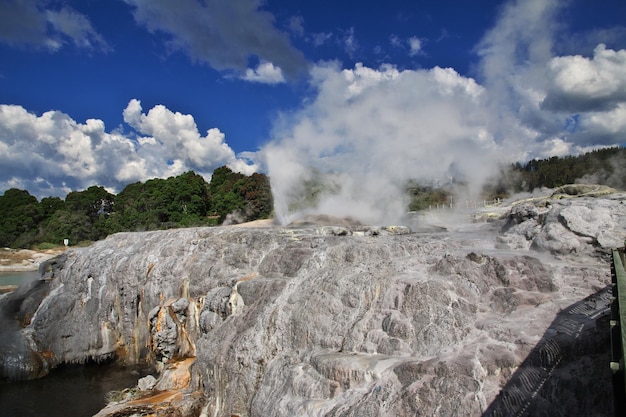 Thermal Park in Rotorua New Zealand