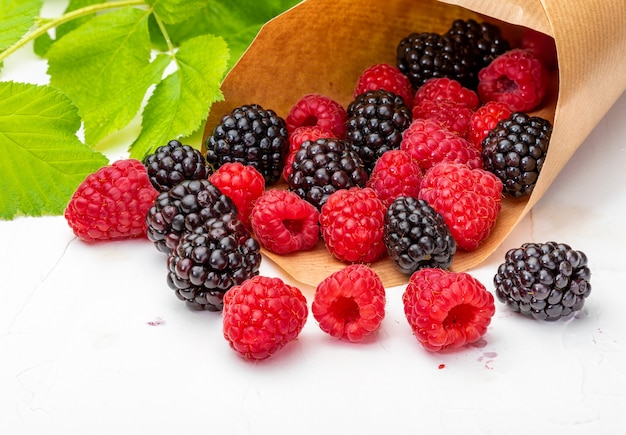 They look like artificial treats! But they are delicious and beautiful blackberries and fresh raspberries. Isolated