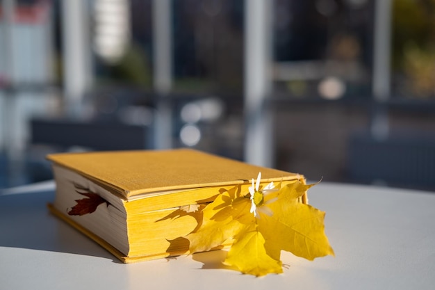 Thick closed book with autumn yellow leaves and a chamomile laid on a table indoors