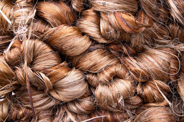 Thick Golden bundle of Wet raw jute fiber Texture Background