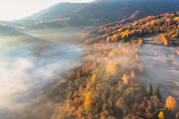 Thick layer of fog covering mountains with colorful trees