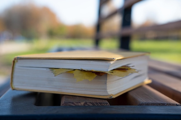 Thick yellow book with autumn leaves laid in it lies on a park bench against a blurred background