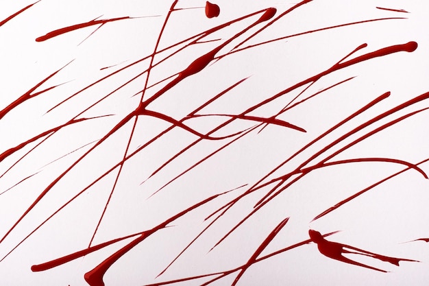 Thin dark red lines and splashes drawn on white background Abstract art backdrop with wine brush decorative stroke