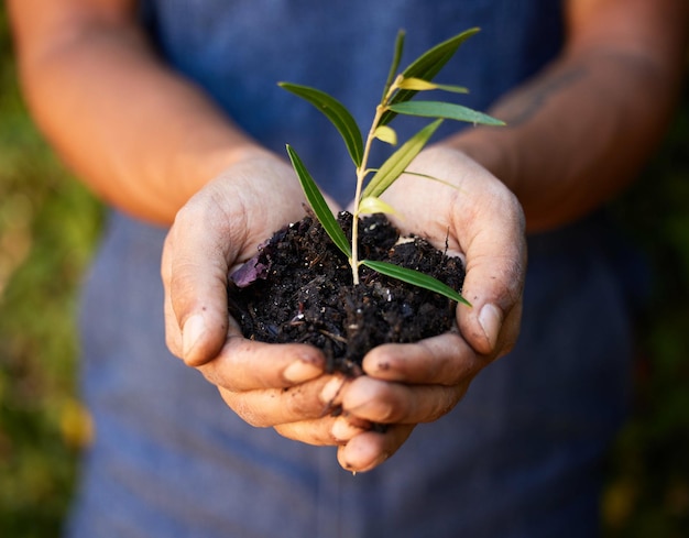 Things grow when theyre taken care of Cropped shot of an unrecognizable man standing alone and holding a budding plant in his hand