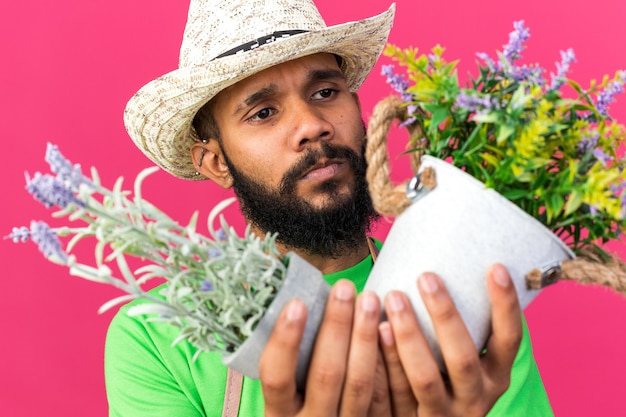 Thinking young gardener afro-american guy wearing gardening hat holding and looking at flowers in flowerpot 