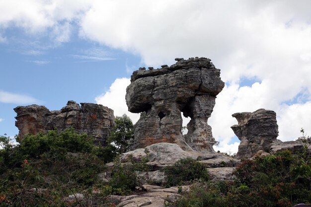 This is a beautiful stone forest.