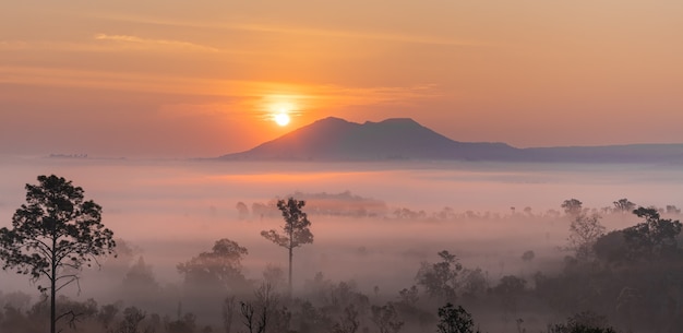 This is the photo of mountain pidsanulok Thailand in the morning during sunrise with mist and fog mountain range and trees sihoulette.