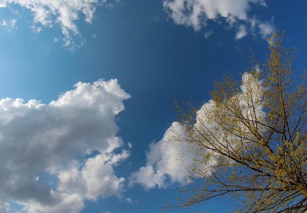 Photo this panoramic picture beautiful panorama blue sky and white clouds