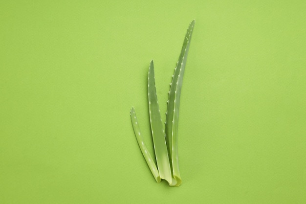 Three aloe vera leaves on green background