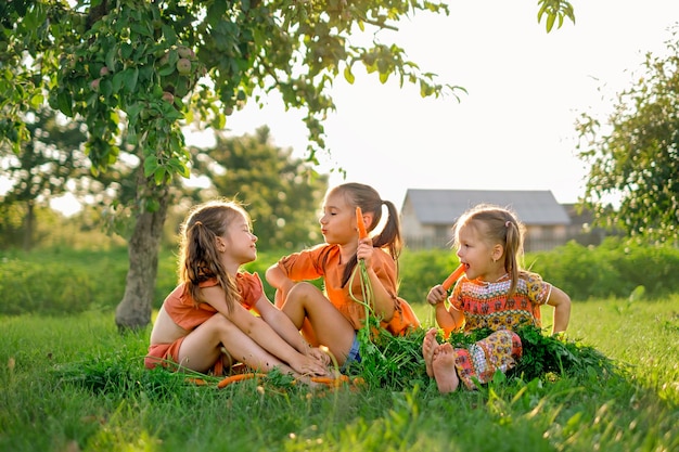 Three amusing children eating fresh carrots