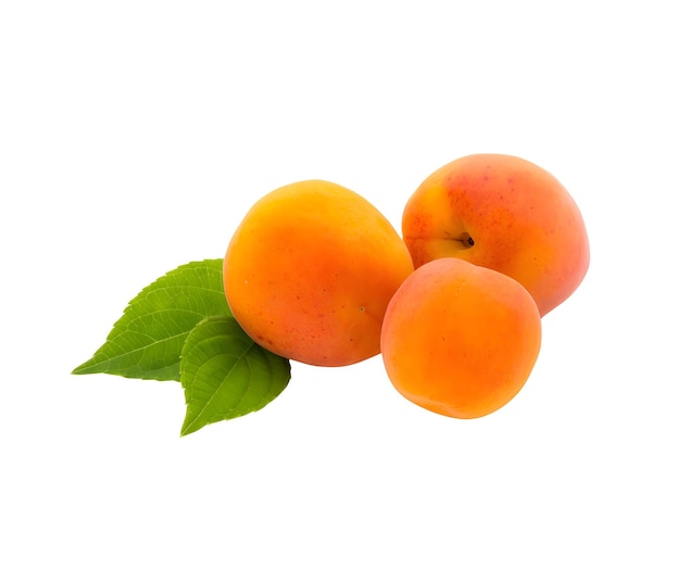 three apricots are on a white background