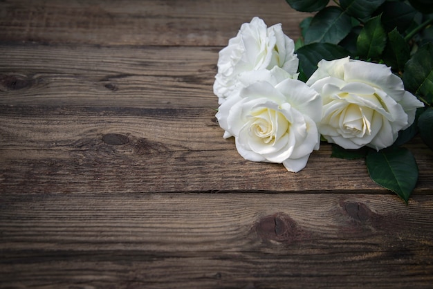 Three beautiful white roses on a rustic wooden background, copy space