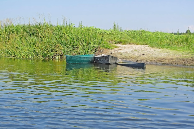 Three boats in the reeds Abandoned boat on the river without people Wrecked boats on a green background