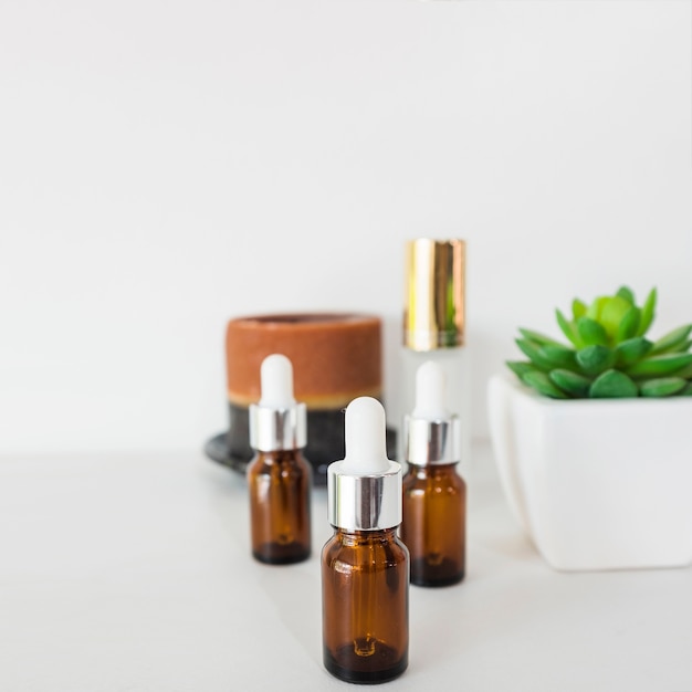 Three brown bottles of essential oils with cactus plant on white background