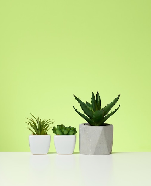 Three ceramic pots with plants on a white table, green background