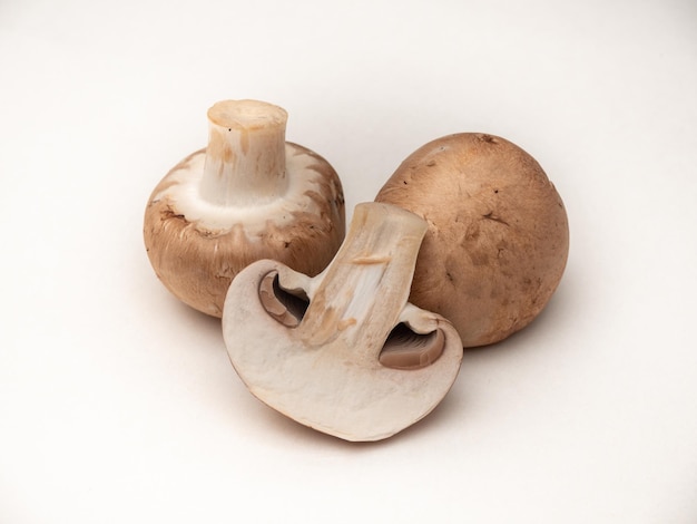 three champignons on a white background