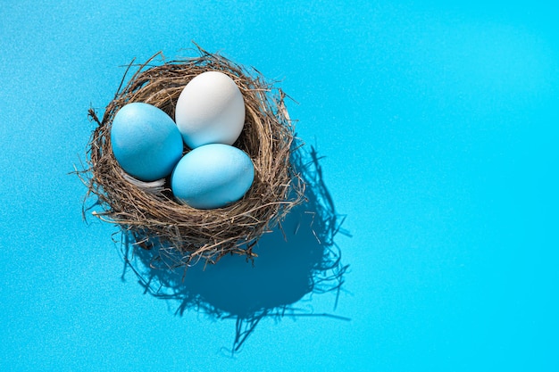 Three Easter eggs in a nest with a hard shadow on a blue background. Easter background. Side view.