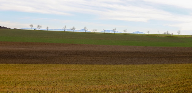 Three fields of crops with yellow, brown and green colors and with trees and mountains