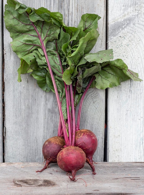 Three fresh beets with tops stand vertically on a wooden background