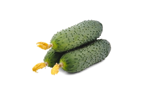 Three fresh cucumbers isolated on white