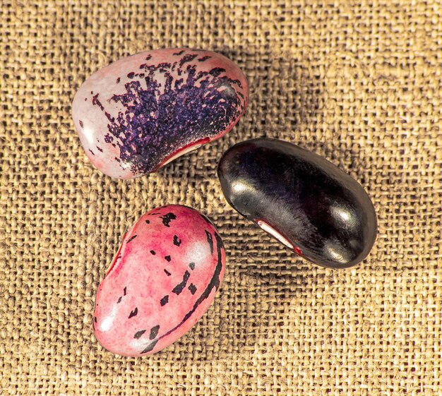 Three grains of multicolored beans closeup top view